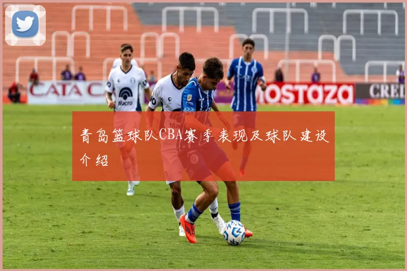 青岛篮球队CBA赛季表现及球队建设介绍