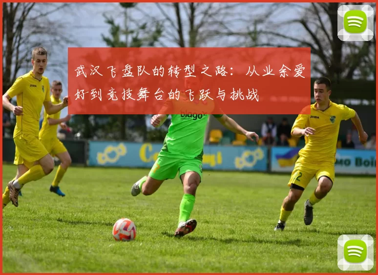 武汉飞盘队的转型之路：从业余爱好到竞技舞台的飞跃与挑战