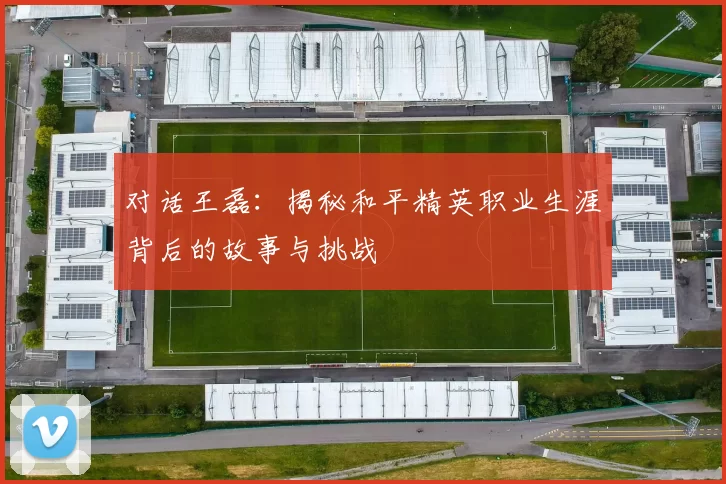 对话王磊：揭秘和平精英职业生涯背后的故事与挑战
