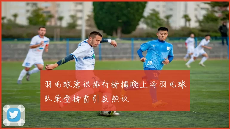 羽毛球意识排行榜揭晓上海羽毛球队荣登榜首引发热议