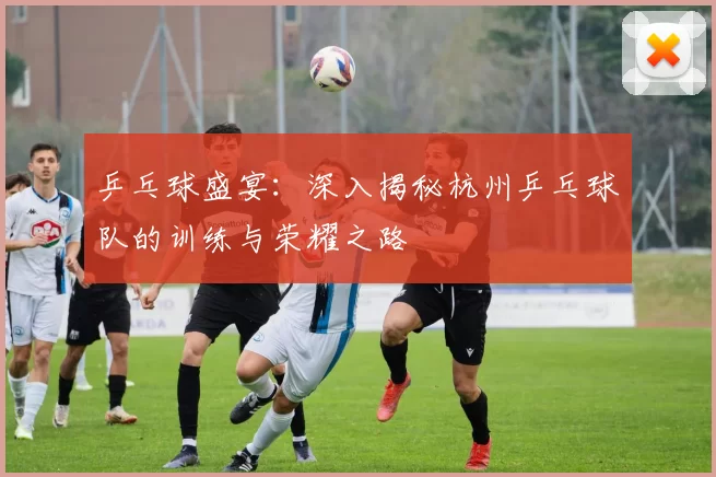 乒乓球盛宴：深入揭秘杭州乒乓球队的训练与荣耀之路