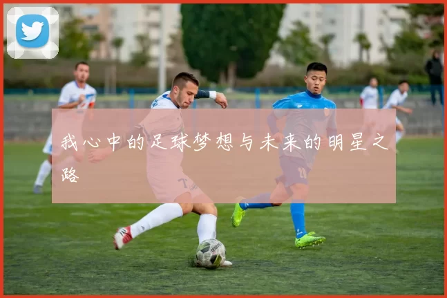我心中的足球梦想与未来的明星之路