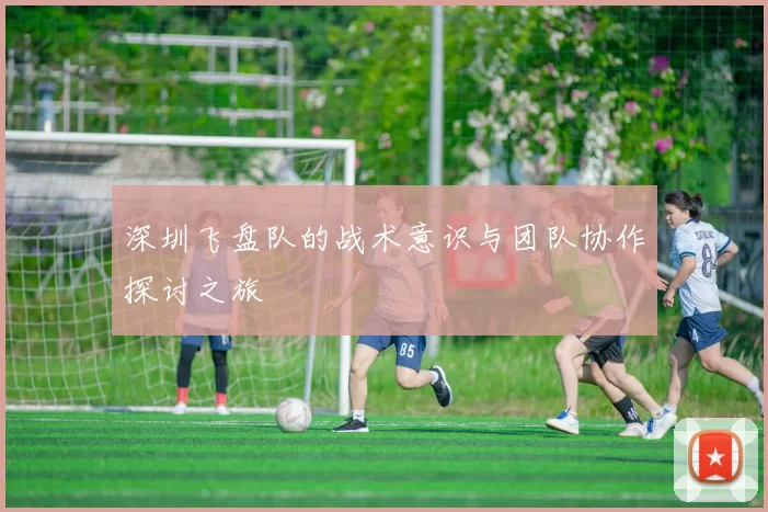 深圳飞盘队的战术意识与团队协作探讨之旅