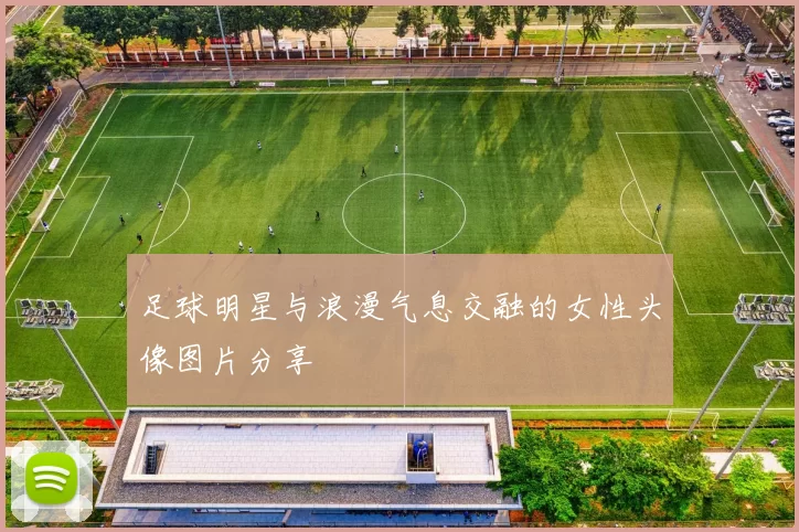 足球明星与浪漫气息交融的女性头像图片分享